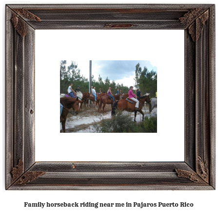 family horseback riding near me in Pjaros, Puerto Rico